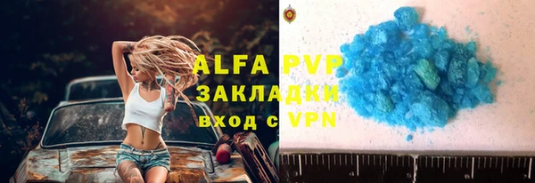 прущая мука Вяземский