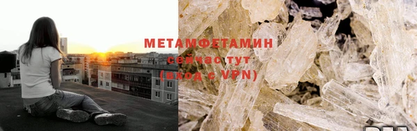 прущая мука Вяземский