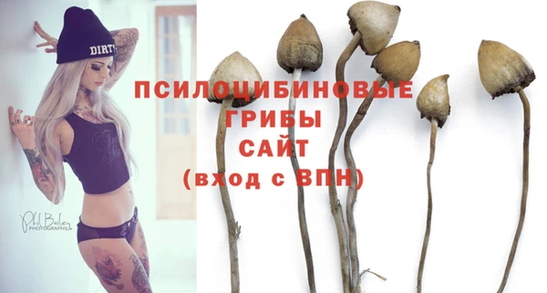 таблы Вязьма