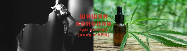 прущая мука Вяземский