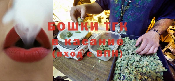 прущая мука Вяземский