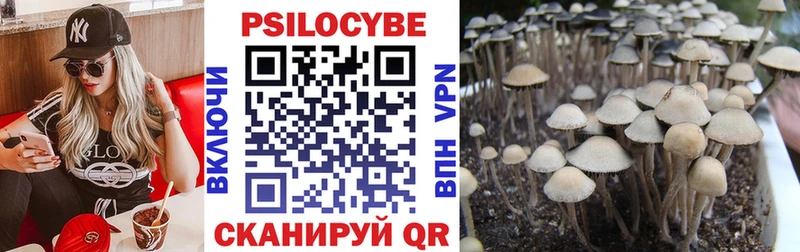 Псилоцибиновые грибы прущие грибы  Купить где  Краснотурьинск 